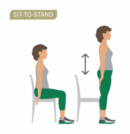 Therapy - Sit-to-Stand Physical Carousel Function An Progression: Important Movement